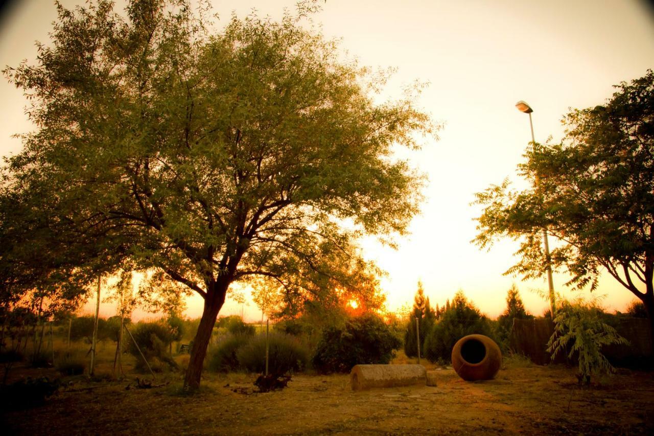 Las Candelas Casas De Los Pinos Zewnętrze zdjęcie
